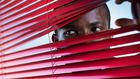 Nosey neighbor (Courtesy)