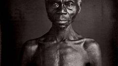 Who Should Own Photos of Slaves? The Descendants, Not Harvard, a Lawsuit Says
