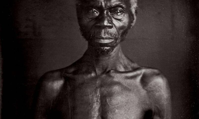 Who Should Own Photos of Slaves? The Descendants, Not Harvard, a Lawsuit Says