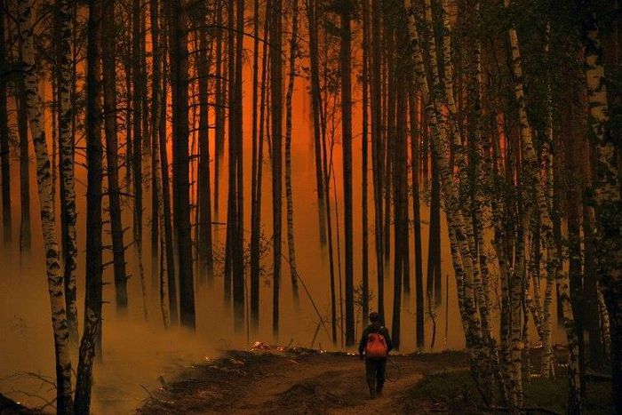 Russia's cash-strapped forest service struggles to cover vast expanses where wildfires occur