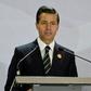 Mexican President Enrique Pena Nieto told a summit in San Jose he would keep the countries represented informed of aspects of its talks with the US that would affect them