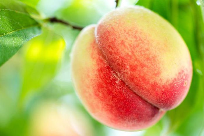 What It's Like to Get Off With a Prostate Massager