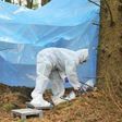 forensic expert at crime scene in forest