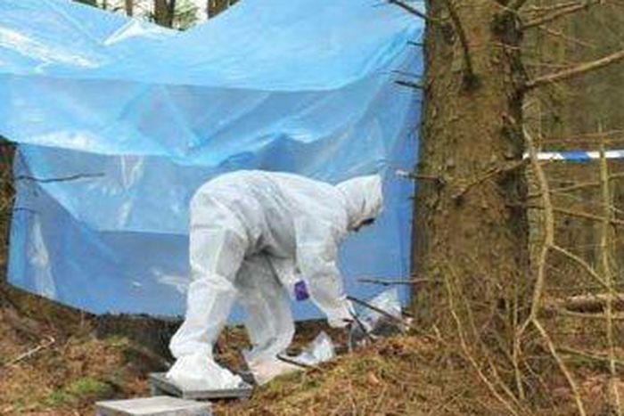forensic expert at crime scene in forest