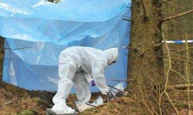 forensic expert at crime scene in forest
