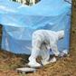 forensic expert at crime scene in forest