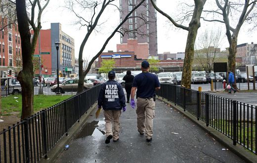 A Pregnant Victim, a Grisly Murder and a Suspect Called 'Grim Creepa'