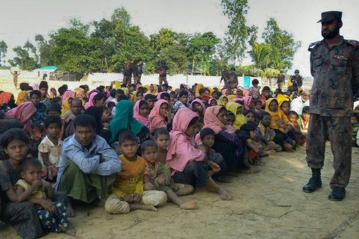At least 66,000 Rohingya have fled from Myanmar to neighbouring Bangladesh, alleging rape, murder and torture at the hands of security forces