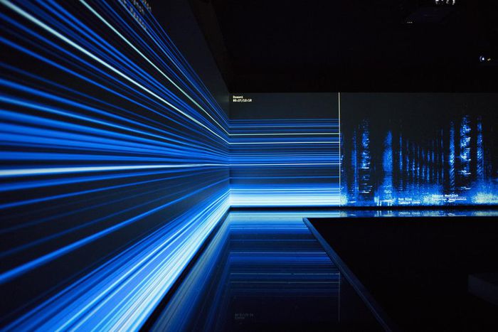 Arguing for an Elegant Extinction