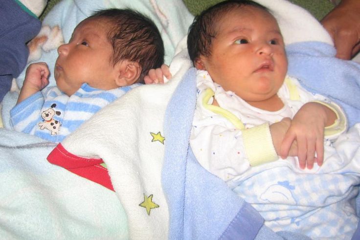 How to conceive twins(hogardeamor)