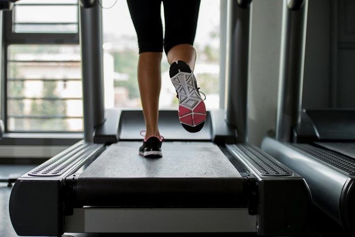 treadmill excercise