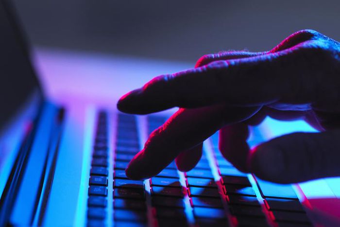 Why Some People Still Pay for Porn