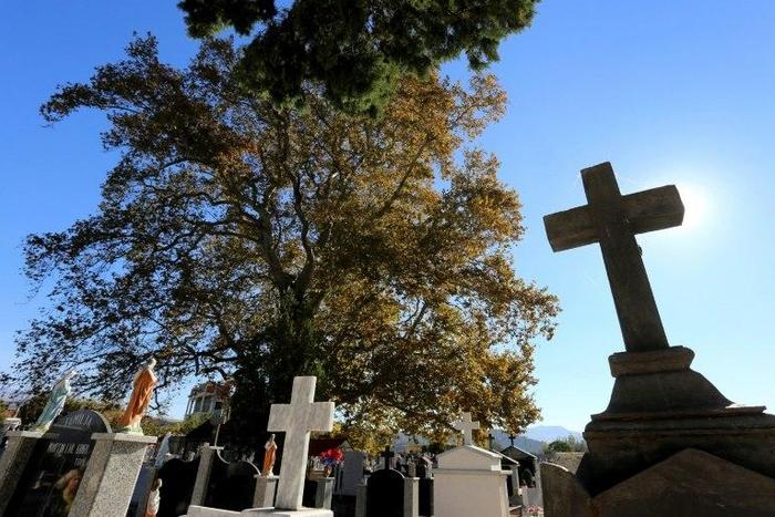 The plane tree in the Rrmaj cemetery where it is believed that some of 38 martyrs of the catholic church have been executed during the communist regime on November 1, 2016