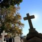 The plane tree in the Rrmaj cemetery where it is believed that some of 38 martyrs of the catholic church have been executed during the communist regime on November 1, 2016