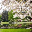 The Royal Greenhouses of Laeken, on April 14, 2017, in Brussels, ahead of the site's opening to the public for three weeks