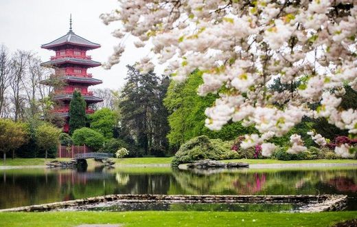 The Royal Greenhouses of Laeken, on April 14, 2017, in Brussels, ahead of the site's opening to the public for three weeks