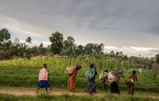 The North Kivu province of the Democratic Republic of Congo is a region that has been plagued by regular flare-ups of ethnic bloodshed