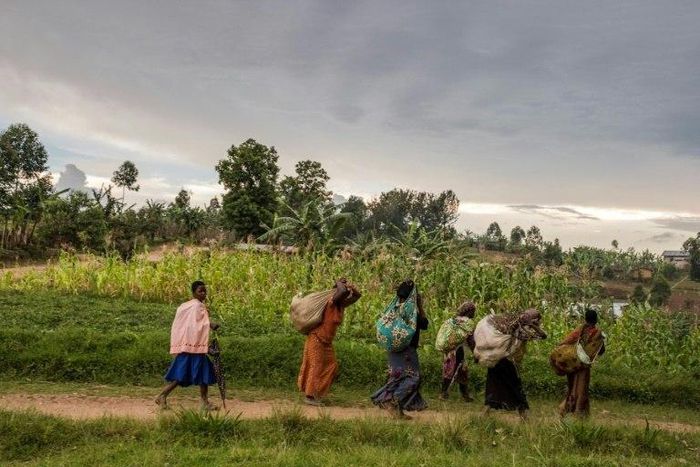 The North Kivu province of the Democratic Republic of Congo is a region that has been plagued by regular flare-ups of ethnic bloodshed