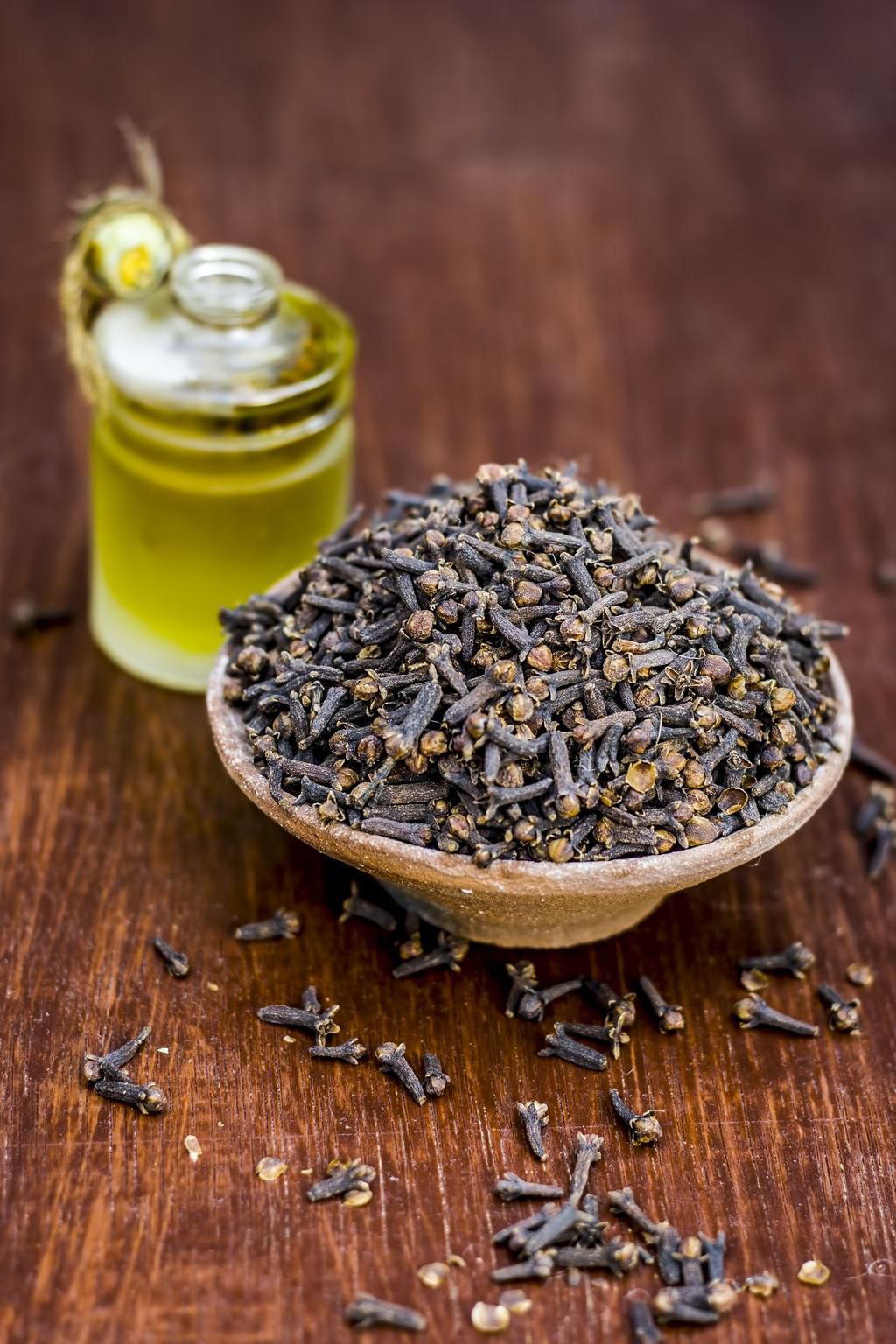 raw cloves,Syzygium aromaticum in a clay bowl with its oil beneficial for skin care and health care.