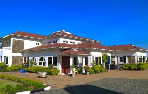Akothee's house (Instagram)