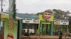 A Del Monte production shop