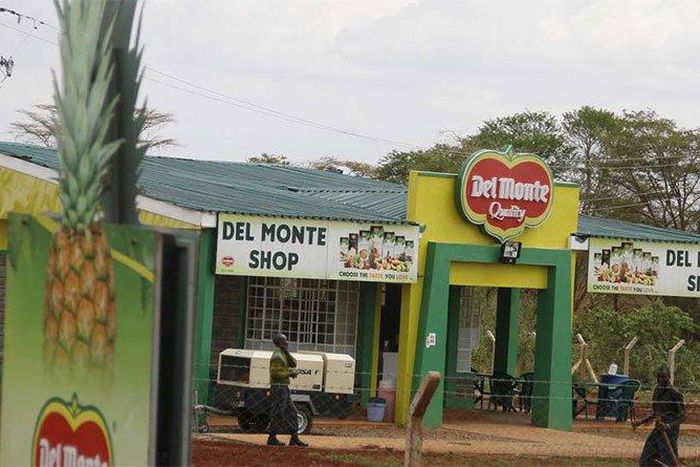A Del Monte production shop