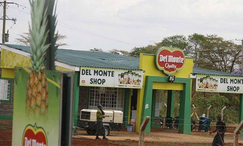 A Del Monte production shop