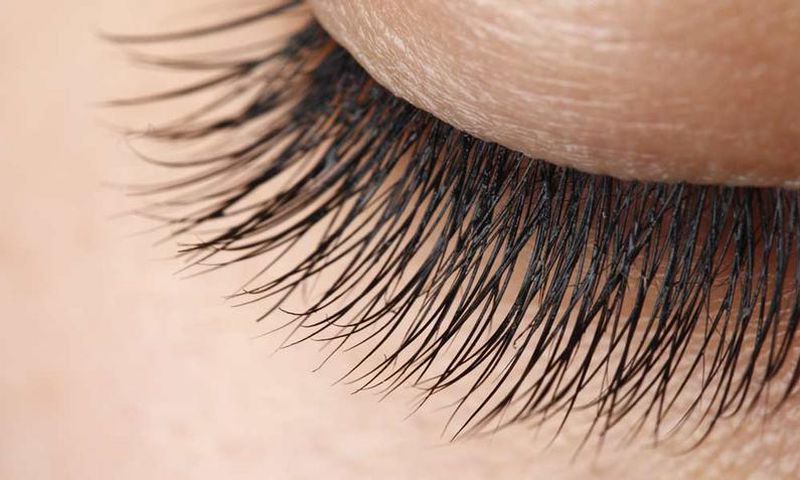 ___5120769___https:______static.pulse.com.gh___webservice___escenic___binary___5120769___2016___6___7___8___8-Natural-Remedies-To-Get-Beautifully-Long-Eyelashes