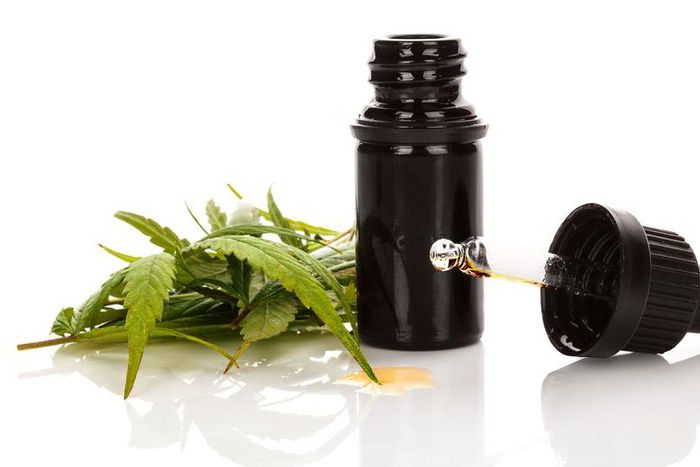 How to Use CBD for Muscle Recovery