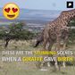 Magical Kenya's Beautiful Wildlife Moments