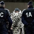 Police moved in at dawn to clear the migrants