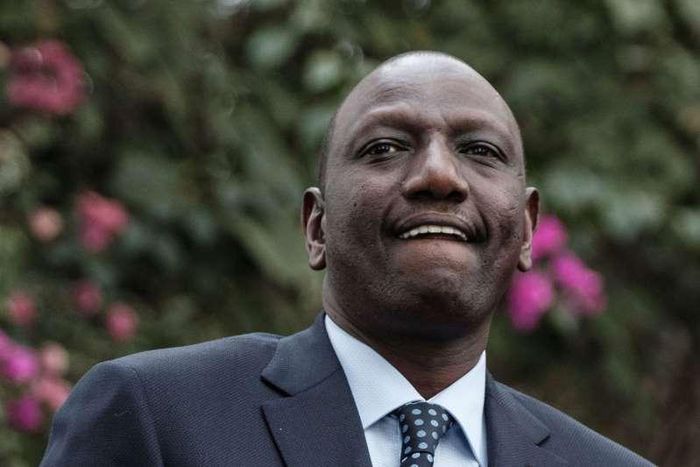 File image of Deputy President William Ruto A section of Jubilee party MPs have called for his ouster