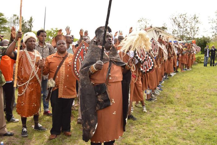 The Kikuyu elders at a past event. Elders drawn from across the country placed a curse on the Royal Media Services Chairman S.K Macharia for his “betrayal” of the Kikuyu community and exposing them to attacks.