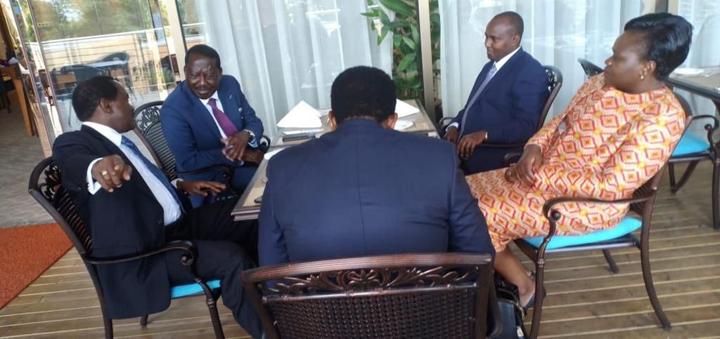 ODM leader Raila Odinga, Wiper leader Kalonzo Musyoka, Senators Amos Wako and Ledama ole Kina and MPs Junet Mohamed and Gladys Wanga
