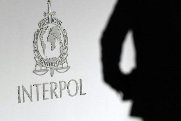 China's Vice Minister of Public Security Meng Hongwei was chosen as the new head of global police organisation Interpol at its annual general assembly
