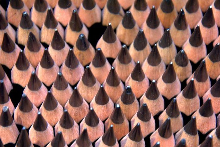 Dr. Pimple Popper Takes Tweezers to Blackheads