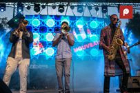 Nairobi Horns performing at Africa Nouveau Festival 2019 (Image Pulse Live)