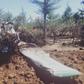 Site of the plane crash in Makutano Forest in Londiani, Kericho County