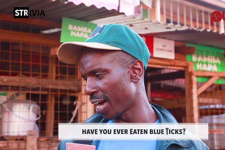 Have You Ever Eaten Blue Ticks