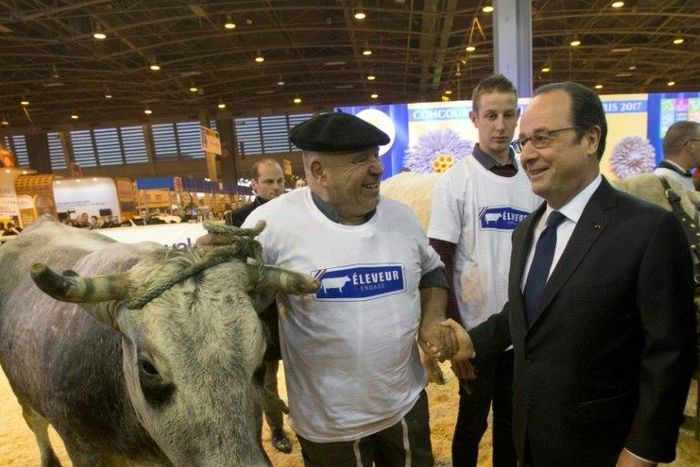 French President Francois Hollande visiting the International Agriculture Fair in Paris, a main stomping ground for politicians, particularly during election campaign season