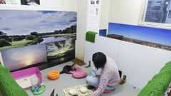 These Otters Are Popular Pets in Asia. That May Be Their Undoing.