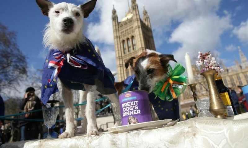 Foreign Secretary Jeremy Hunt admitted to the BBC in November that "many people are bored of Brexit" and want the whole thing to go away