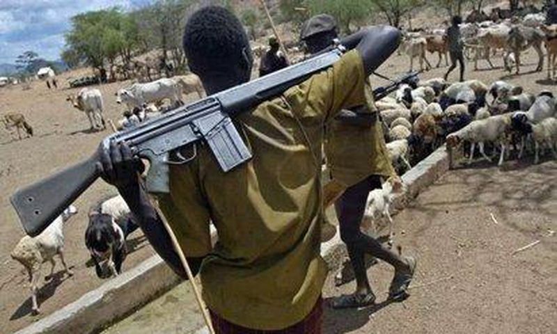 Armed Fulani herdsmen