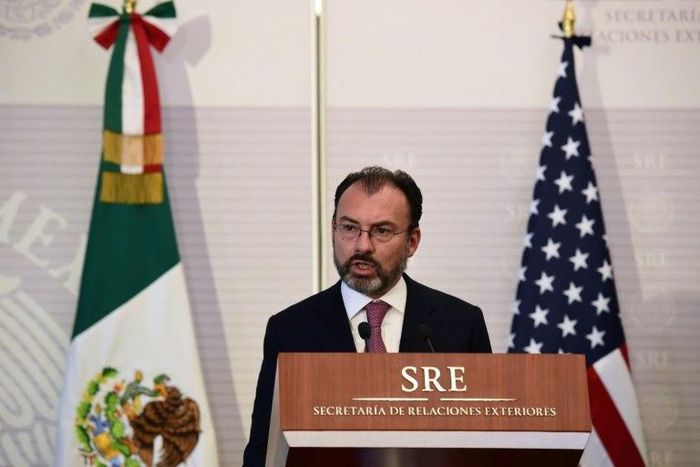 Mexican Foreign Minister Luis Videgaray noted that if Trump places tariffs on Mexican goods, it would hit US households that buy all sorts of products from south of the border, including avocados, cars, phones and appliances