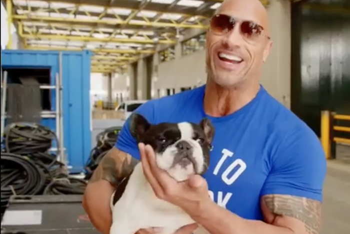 The Rock's French Bulldog Stars in 'Hobbs & Shaw'