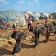 With Somalia on the brink of famine, women fleeing to displacement camps in search of food and water are falling victim to rape and sexual assault
