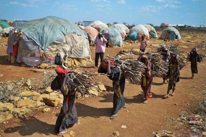 With Somalia on the brink of famine, women fleeing to displacement camps in search of food and water are falling victim to rape and sexual assault