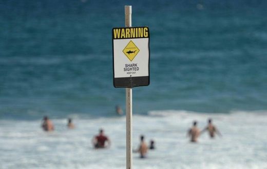 Laeticia Brouwer was the third person killed by a shark off Western Australia in the past 12 month