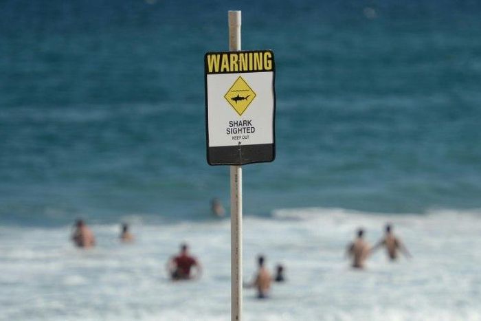 Laeticia Brouwer was the third person killed by a shark off Western Australia in the past 12 month