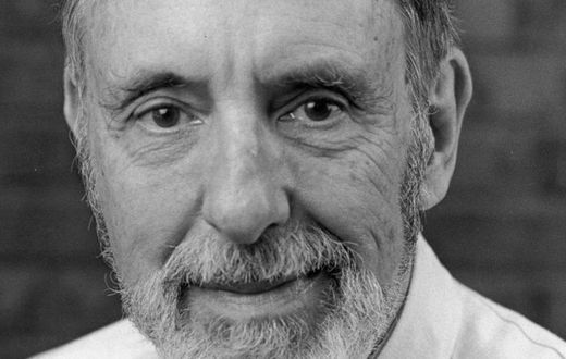 David Brion Davis, prizewinning historian of slavery, dies at 92